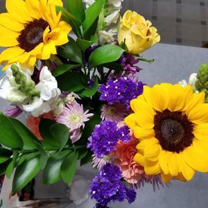 Meet your Posher, Nancy